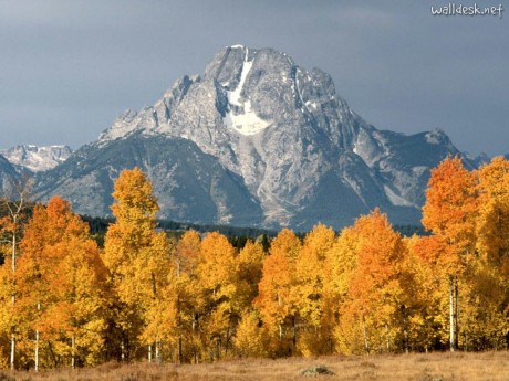 In moto nello Wyoming partendo da JACKSON per visitare il PARCO NAZIONALE DEL GRAN TETON e YELLOWSTONE NATIONAL PARK, CODY, la città di BUFFALO BILL per terminare il tour a BILLINGS nel Montana visitando le riserve indiane dei CROW e CHEYENNE e LITTLE BIG HORN.