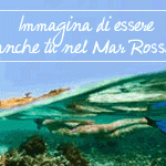 Il sito di Costa Crociere: www.costacrociere.it