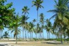 Offerte di vacanze a Zanzibar
