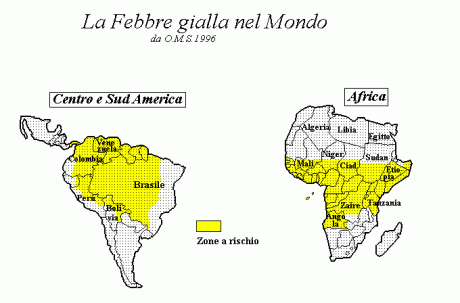 Diffusione della febbre gialla 