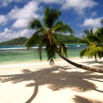 Viaggi organizzati per le Seychelles