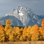 Tour dei parchi del Wyoming: Parchi Nazionali del Grand Teton e dello Yellowstone.